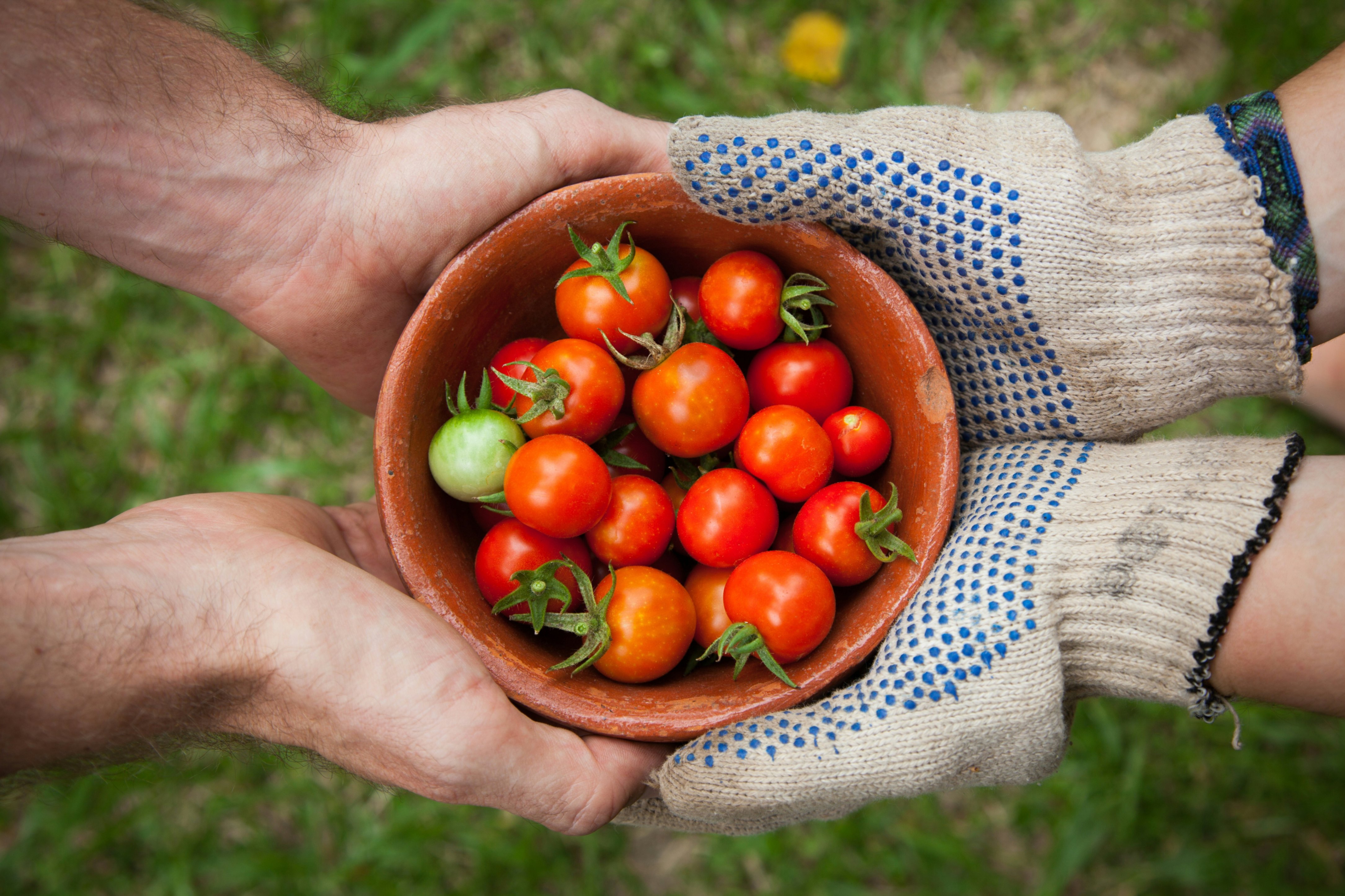 come fare ecoterapia garden therapy