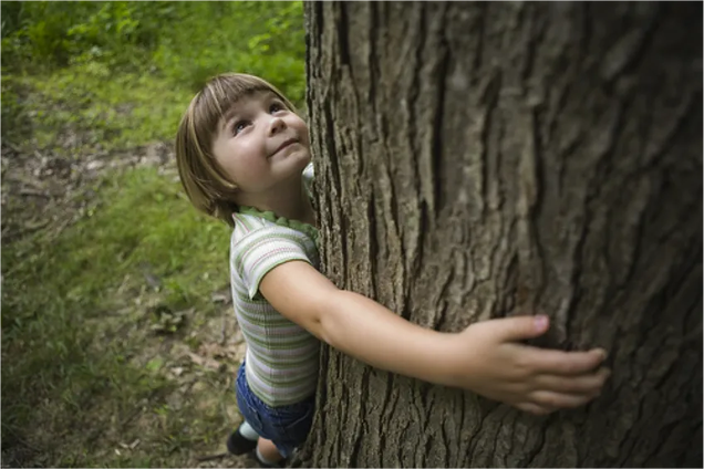 forest bathing benefici