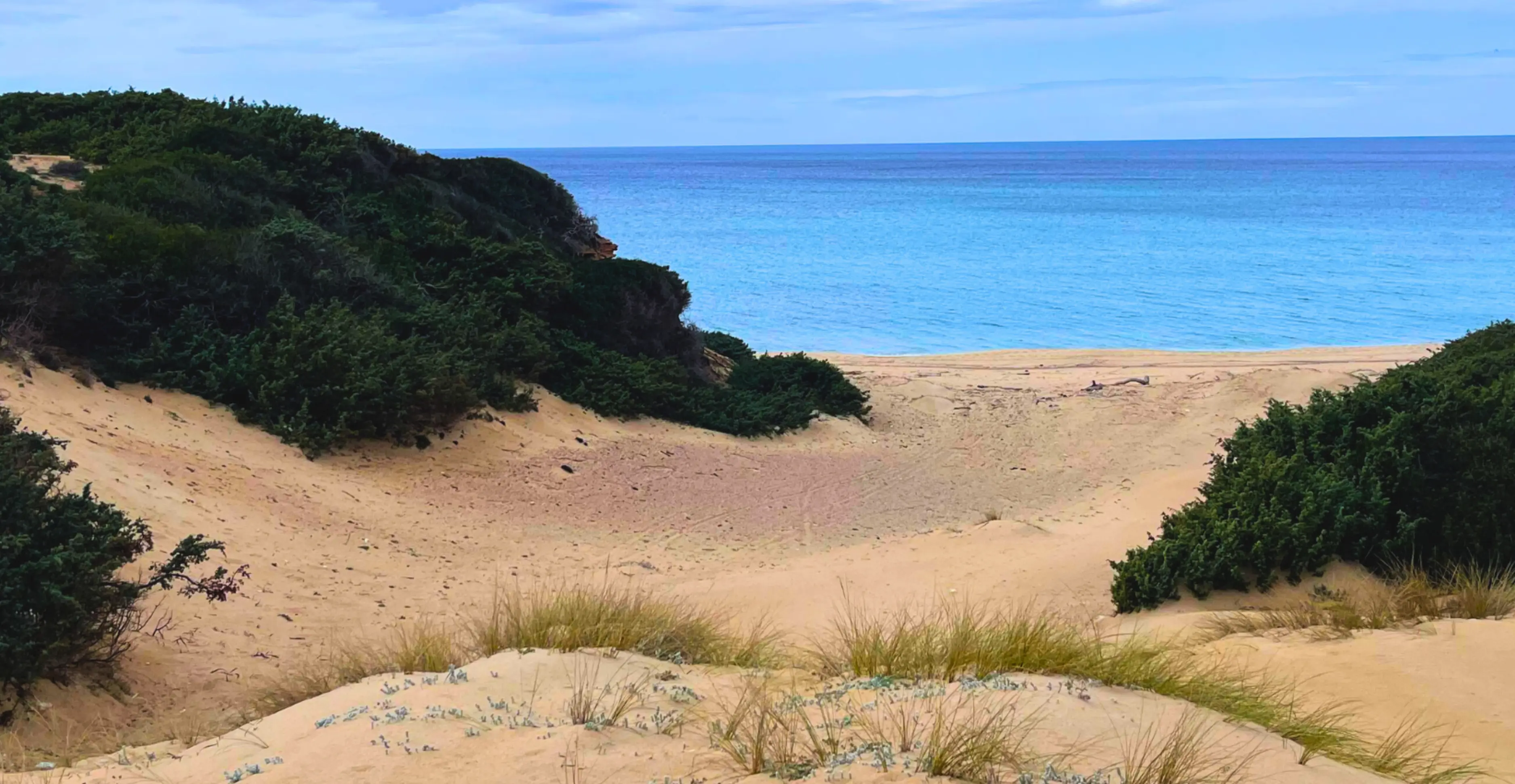Nachhaltige Unterkunft zwischen Dünen und mediterraner Macchia in der Natur-Oase von Scivu
