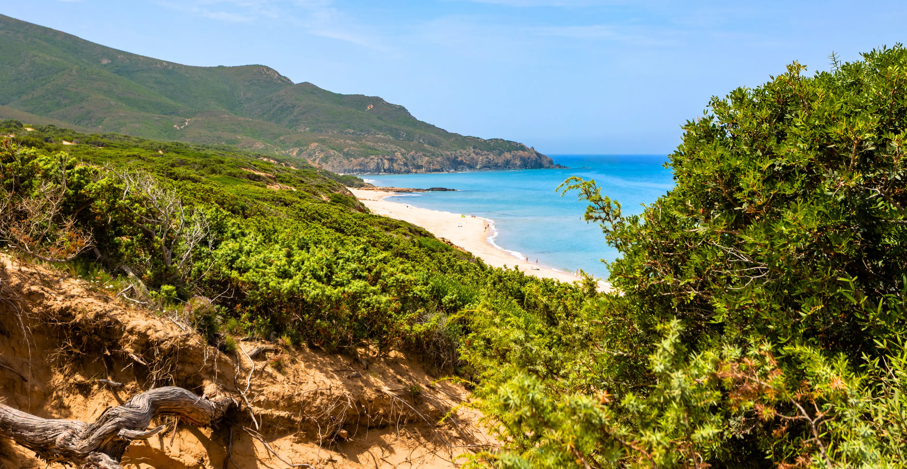 Wild beach of the Scivu Oasis near the Posidonia cabin