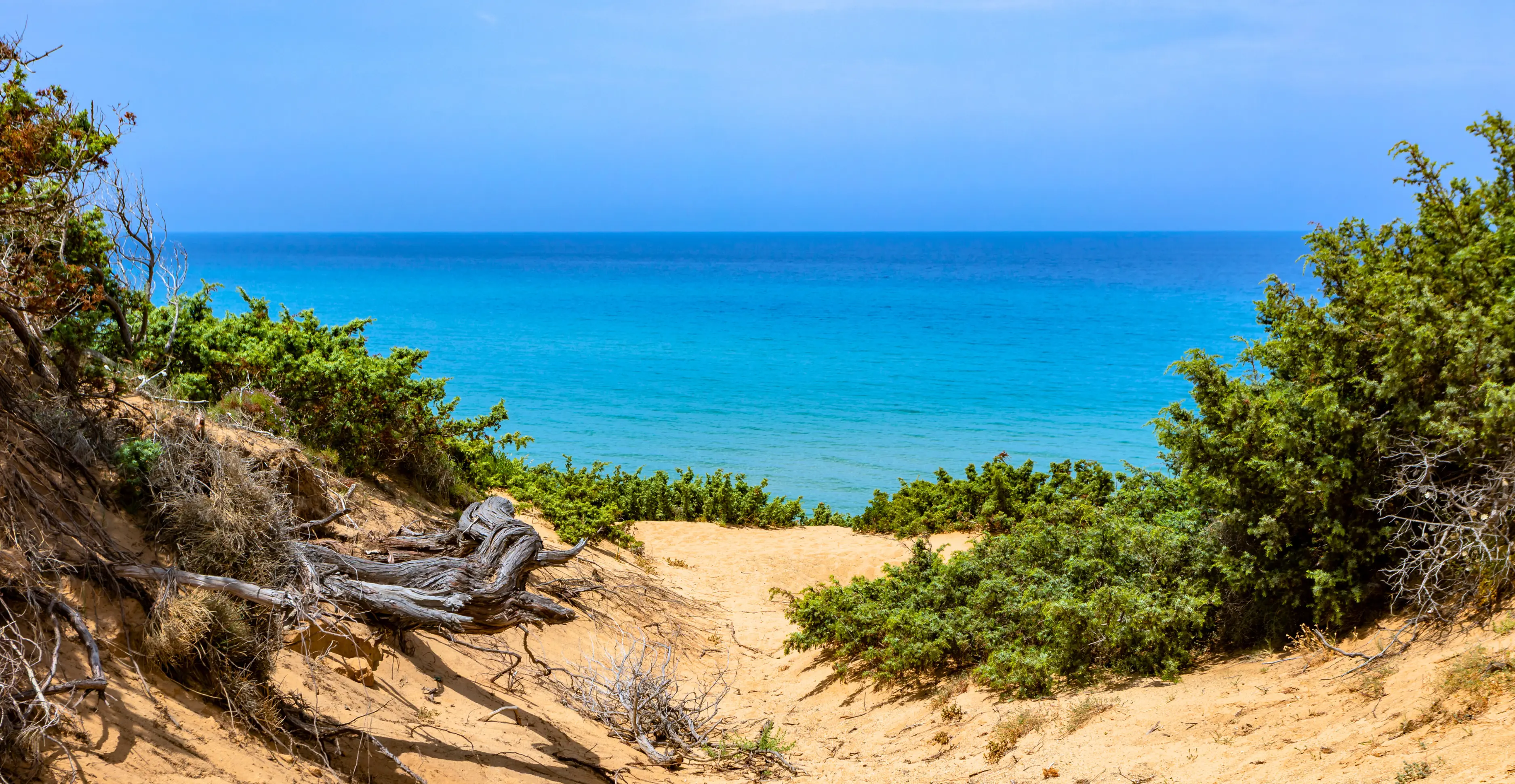 Dunes and sea in front of the Friland Posidonia cabin in Sardinia