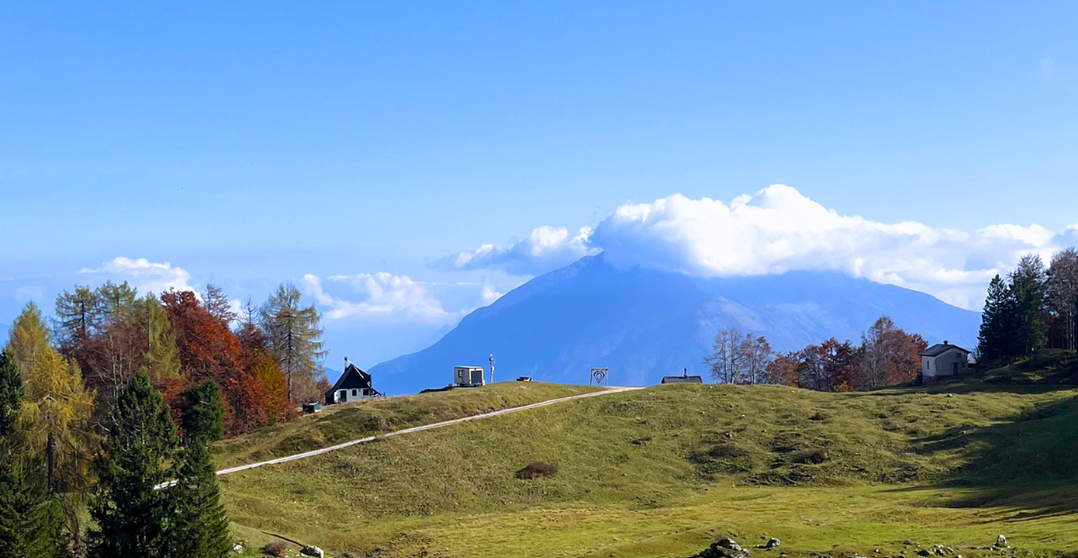 Mancano i contenuti