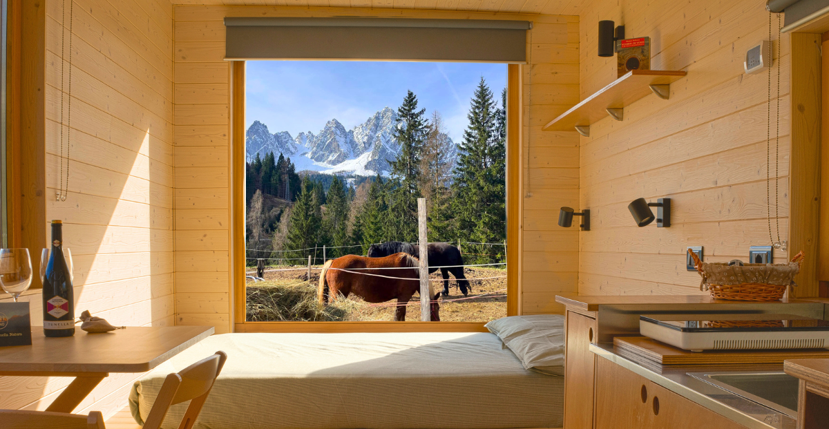 viaggio nella natura a sappada