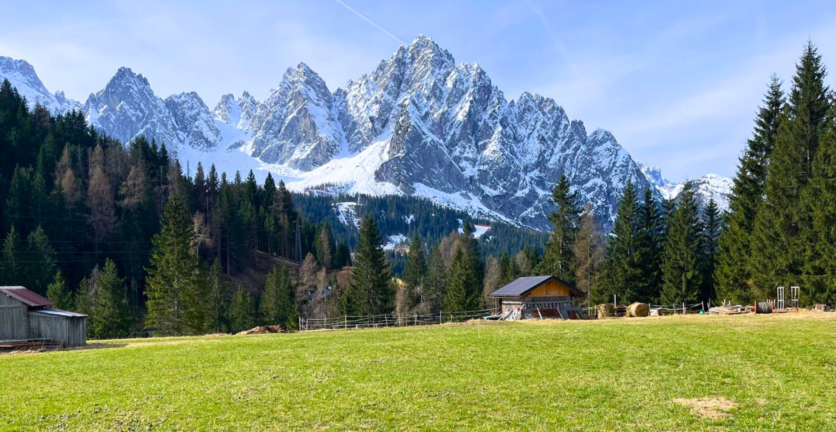 un viaggio nella natura con vista dolomiti