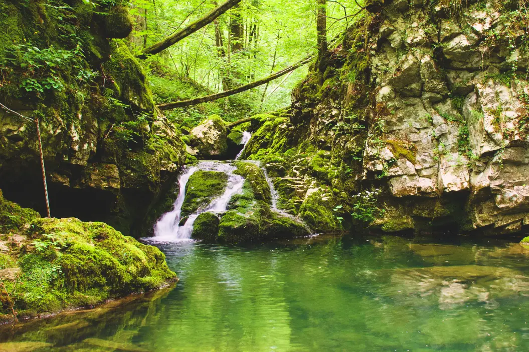 cascata nel bosco vicino a campo di bonis sulle alpi giulie a taipana