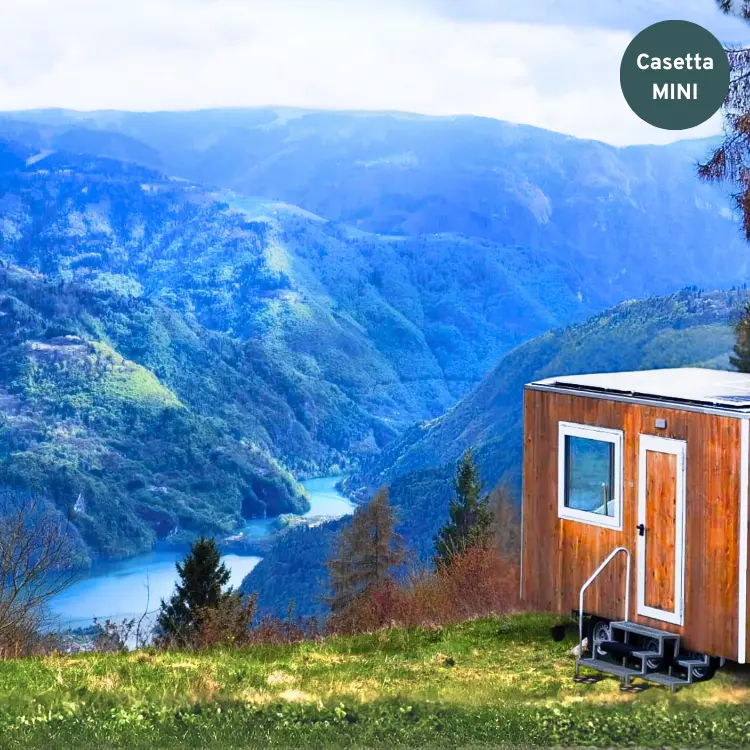 Iris - Cima Lan (Belluno)