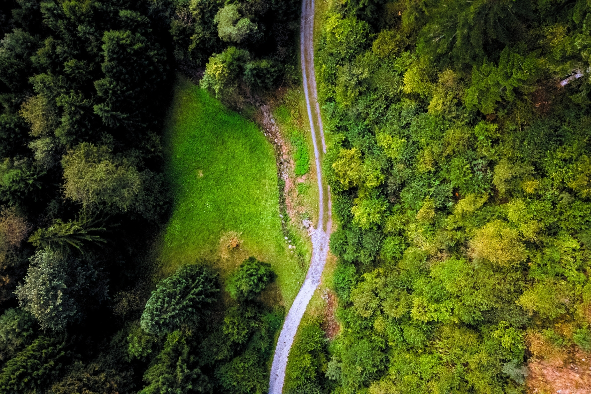 ruscello vicino alla tiny house a  paluzza sulle Alpi Carniche nella Valle del But