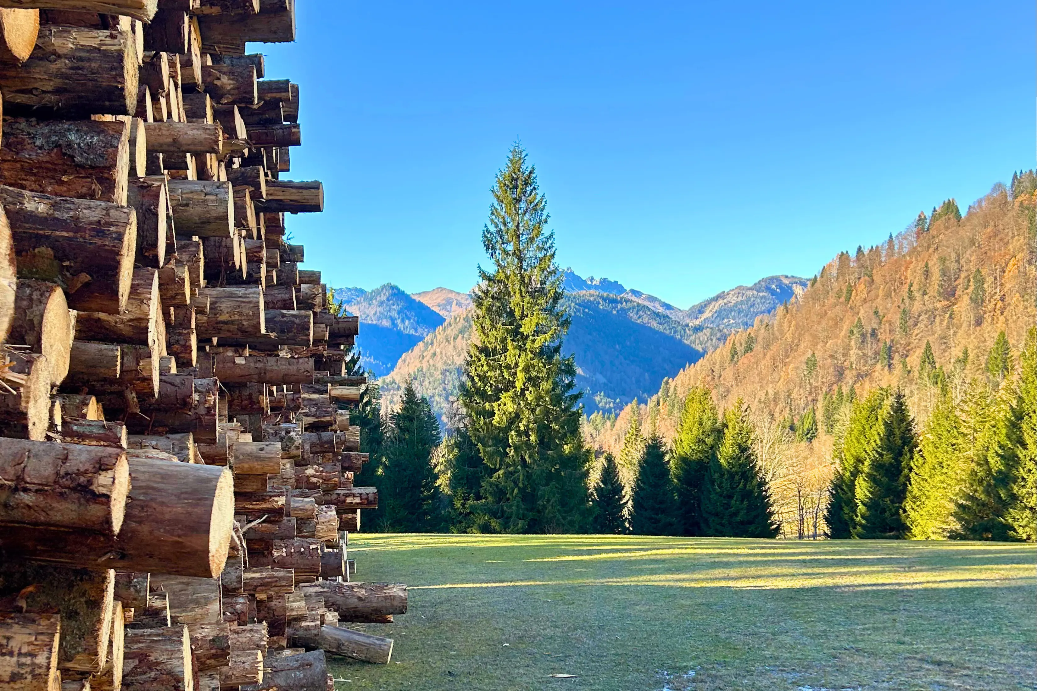 Umgebung des Hauses in den Karnischen Alpen in Sauris